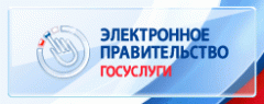 Электронное правительство. Госуслуги.
