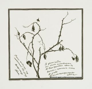 «Шиповник». 1978. Бумага, линогравюра. 56,5х75; 40,5х42 см.